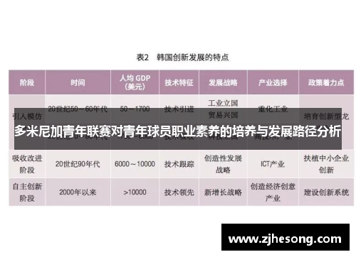 多米尼加青年联赛对青年球员职业素养的培养与发展路径分析