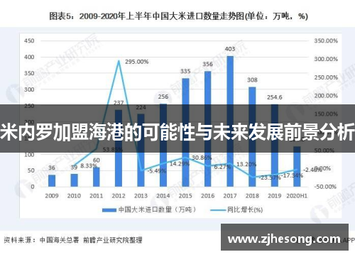 米内罗加盟海港的可能性与未来发展前景分析