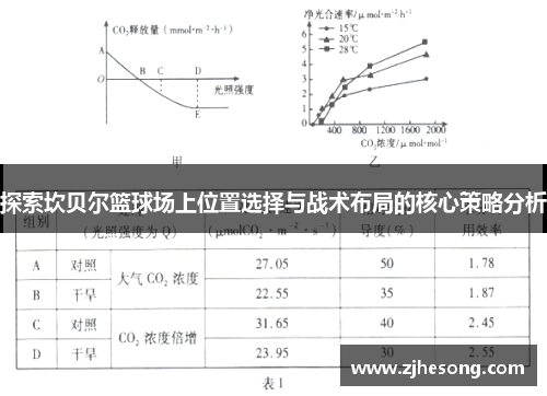 探索坎贝尔篮球场上位置选择与战术布局的核心策略分析 探索坎贝尔篮球场上位置选择与战术布局的核心策略分析